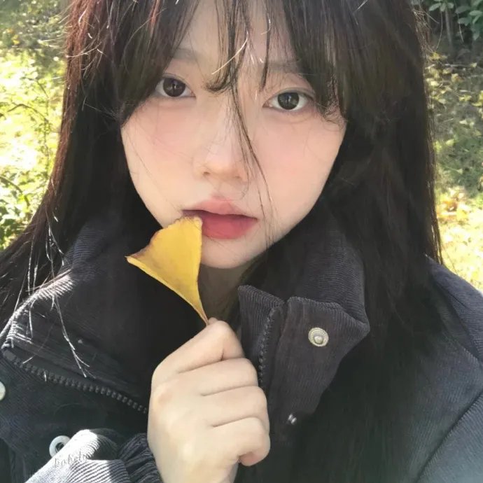 黑金地的女人
